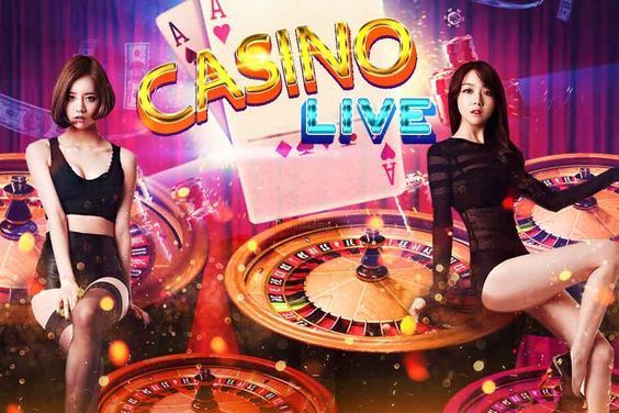 Chicken Road Live Casino